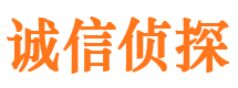 莘县捉小三公司